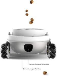 rocki pet robot chat