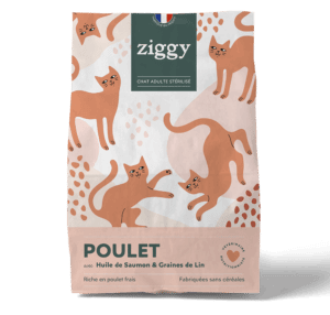croquette pour chat Ziggy