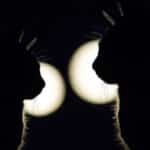 deux chats nuit