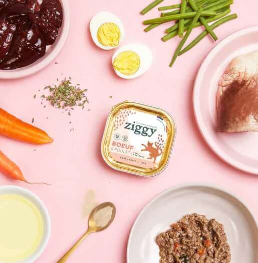 ingredient boeuf poulet ziggy