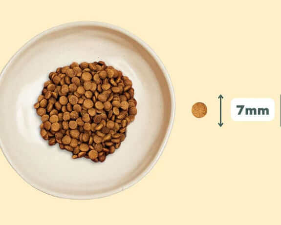 Taille croquette pour chatons Ziggy