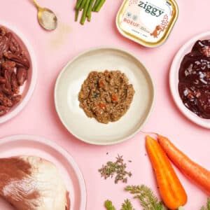 ingrédient patée chaton Ziggy