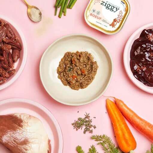 ingrédient patée chaton Ziggy