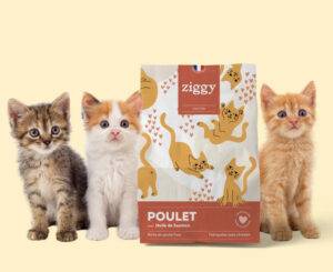 Croquettes pour chatons Ziggy