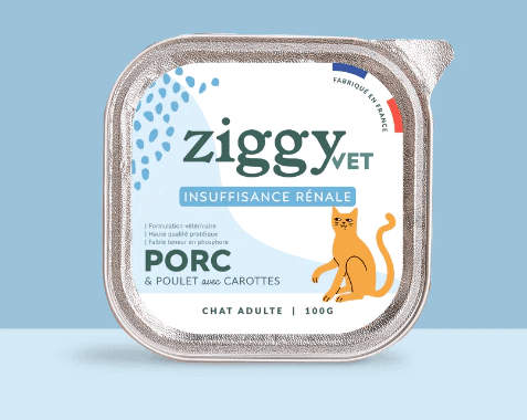 ziggy patée thérapeutique insuffisance rénale