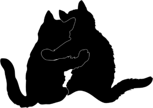 chats qui se font un calin