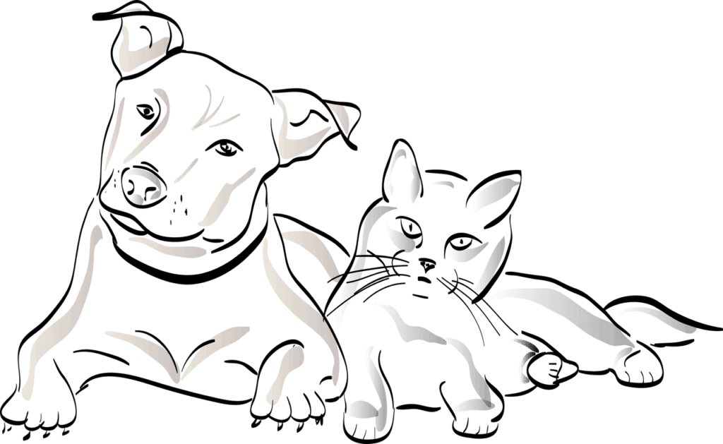 chat et chien