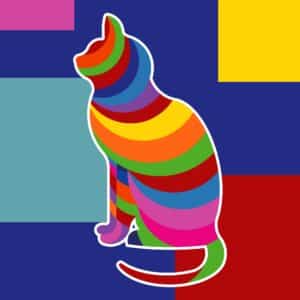 chat coloré