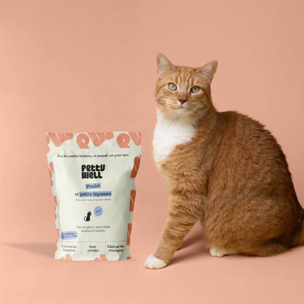 chat croquettes Petty Well