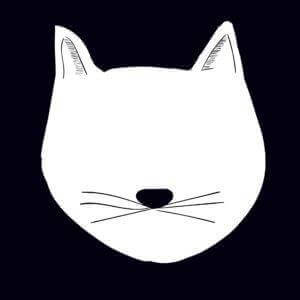 moustaches et compagnie chat