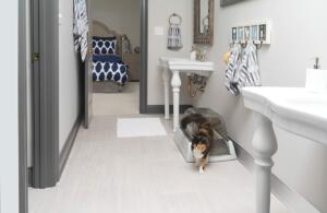 litière PetSafe ScoopFree Ultra