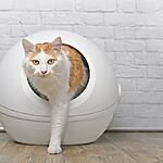 litière silice chat animalerie