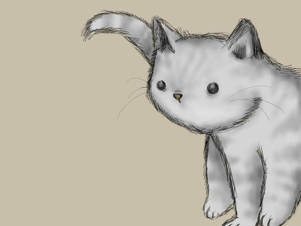 dessin de chat
