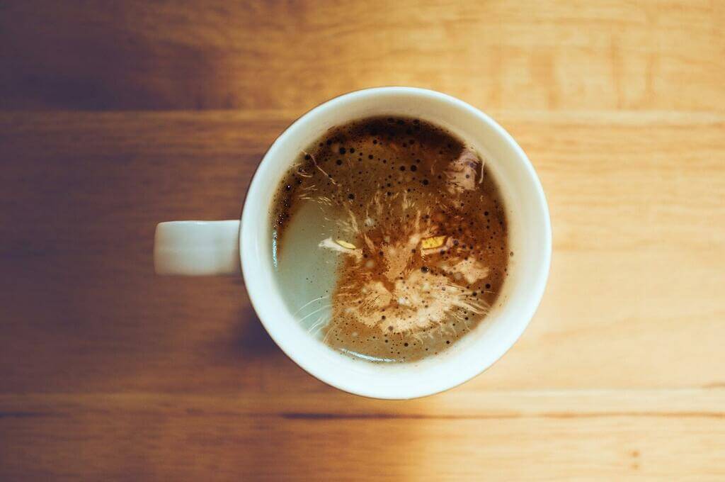 Chat dans une tasse de café