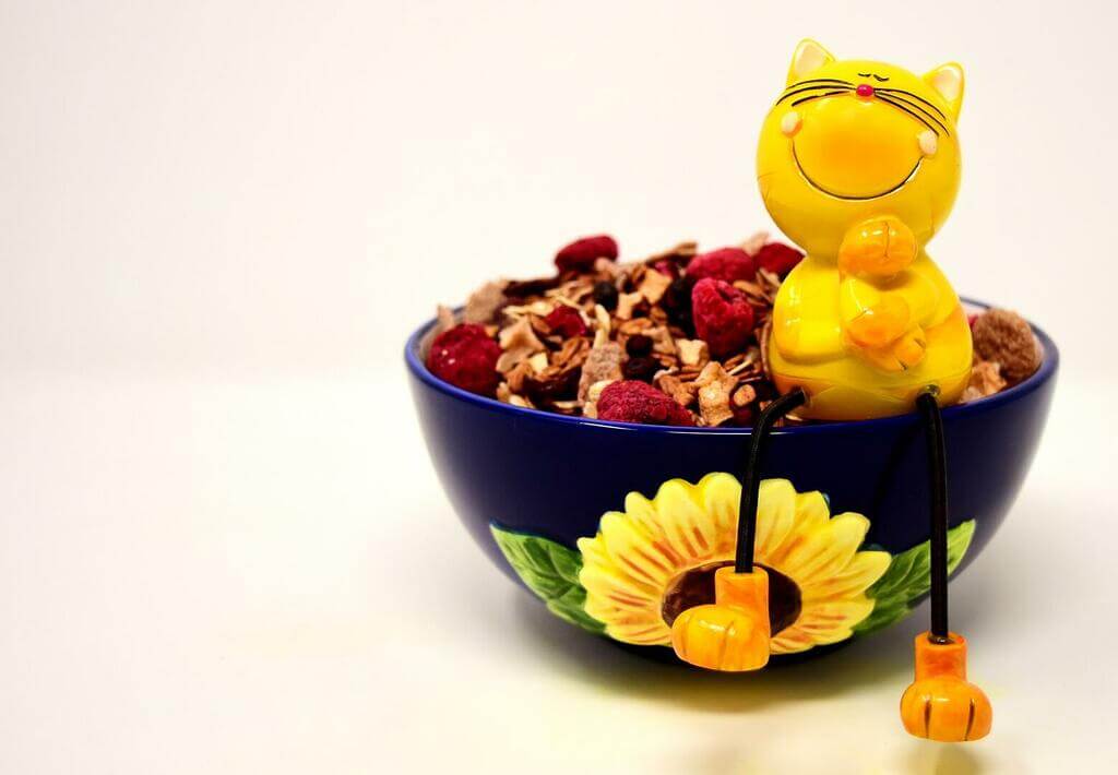 nourriture pour chat