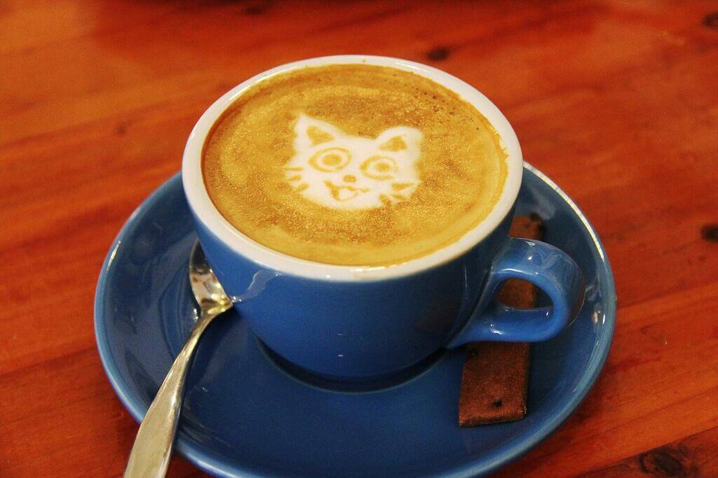 café au lait chat