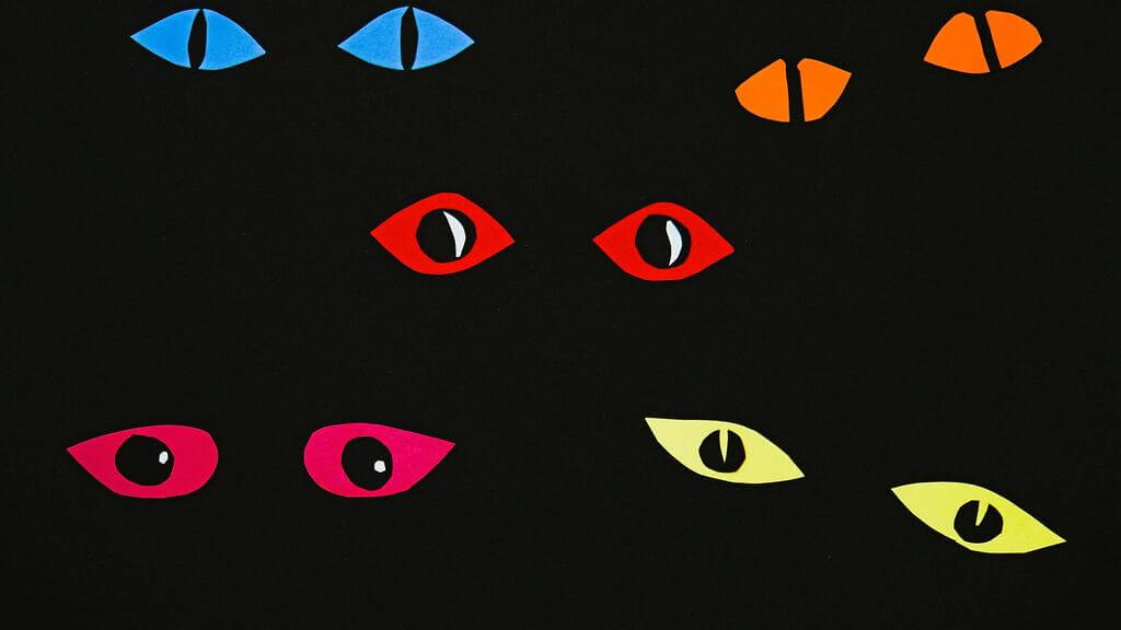 yeux inquiets de chats