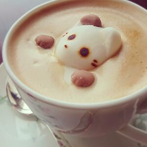 chat dans un café