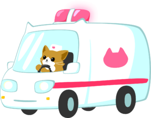 ambulance de chat
