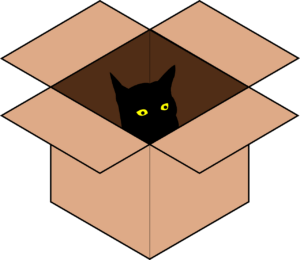 chat dans un carton de déménagement