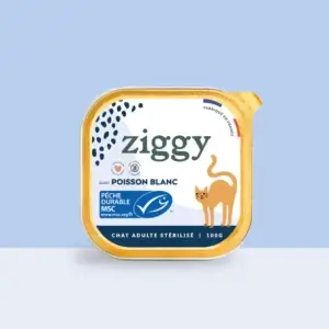 Ziggy poisson blanc