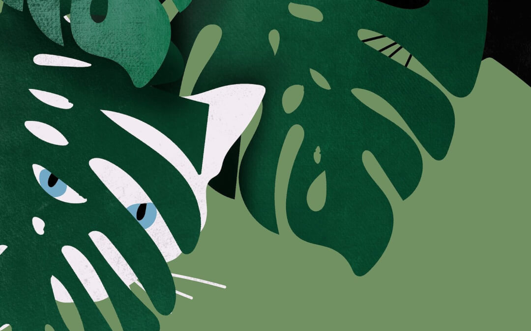 chat noir et chat blanc dans une plante