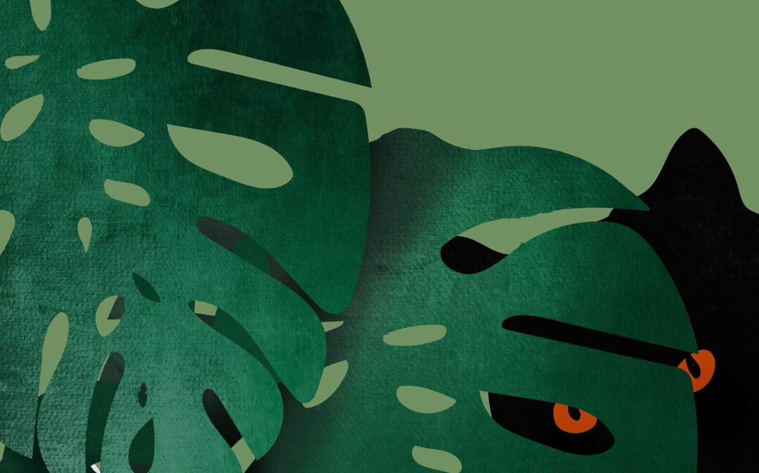 chat noir et chat blanc dans une plante