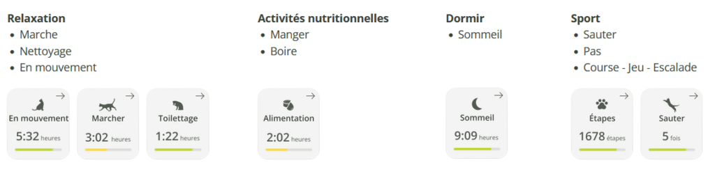 activités proposées par le GPS chat Kippy