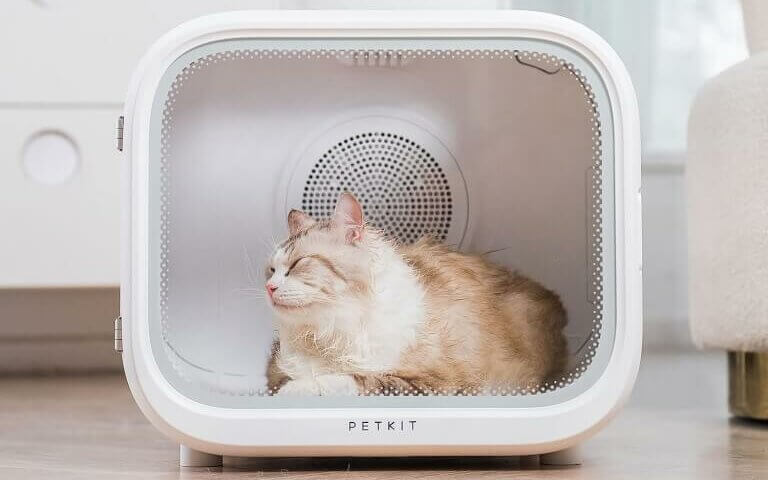Petkit AIrsalon Max bruit