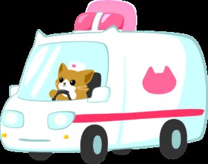 cat, ambulance, feline