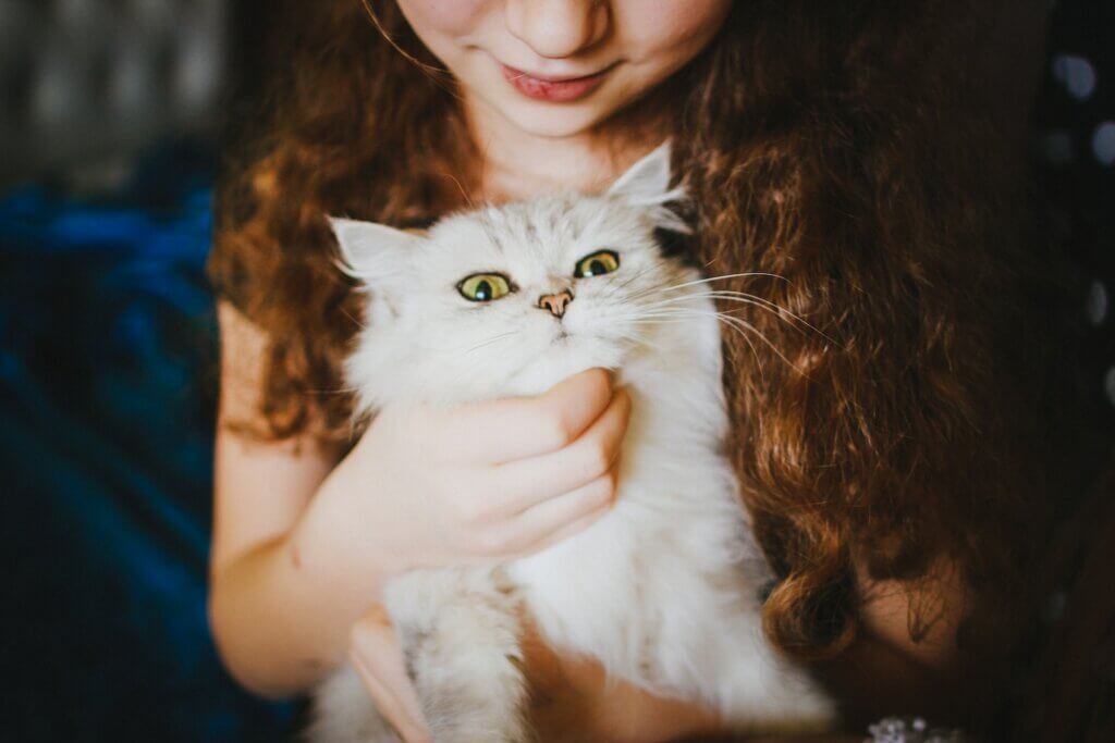 kid holding white cat