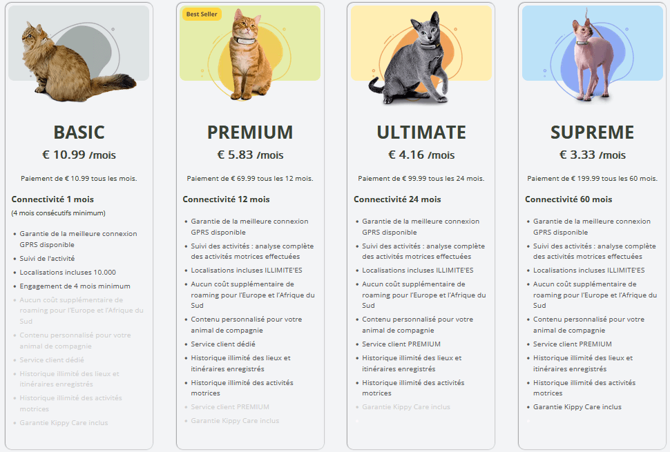 pack abonnement kippy cat