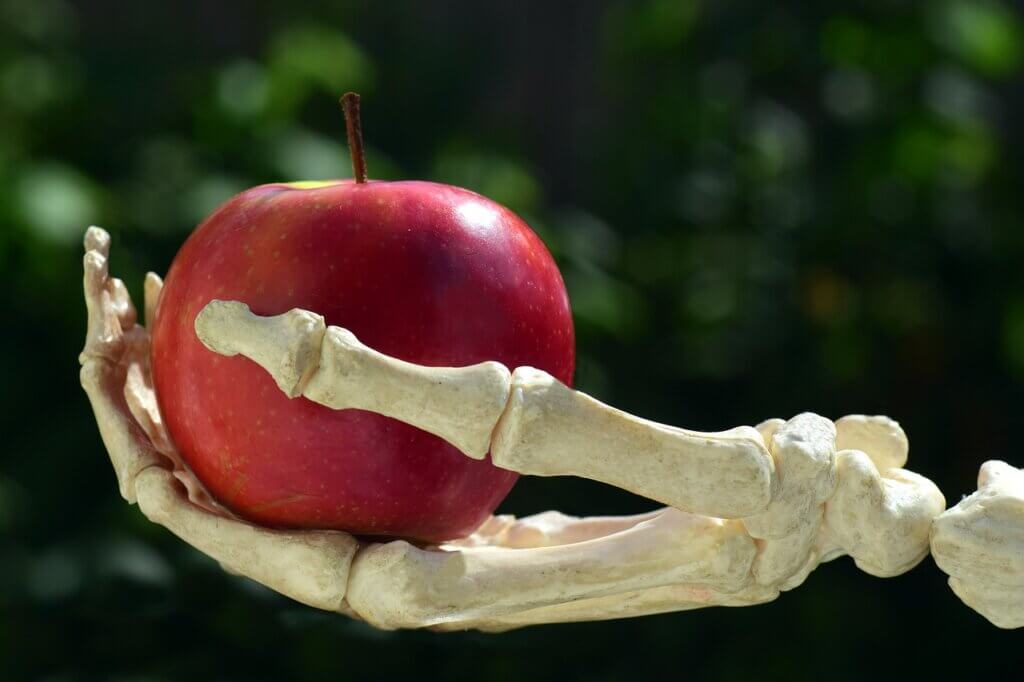 apple, hand, bone