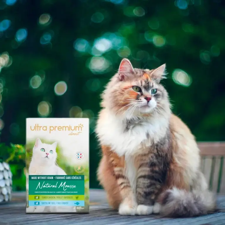 Pâtée pour chat Ultra Premium Direct