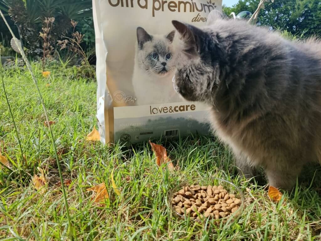 Doudou teste les croquettes Ultra Premium Direct