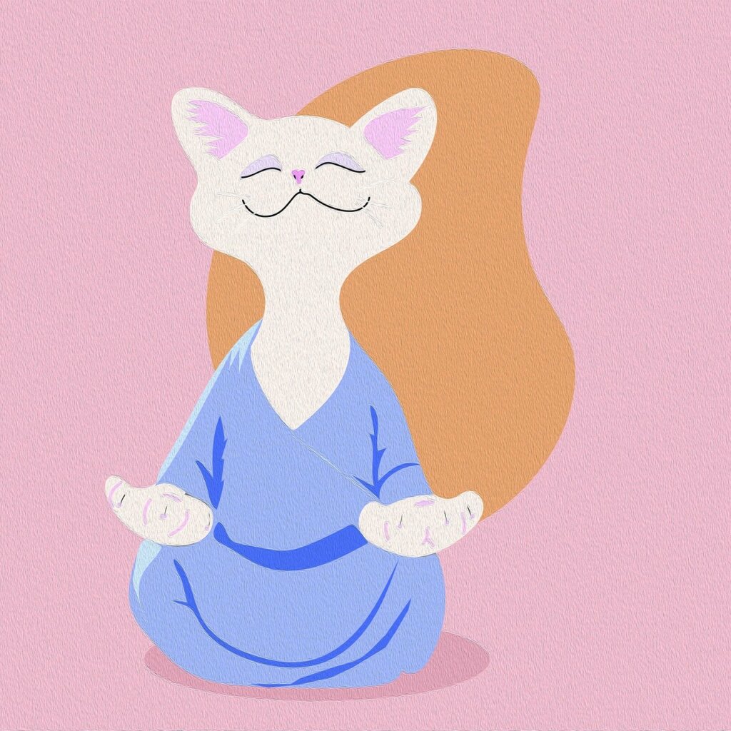 cat, buddha, meditate