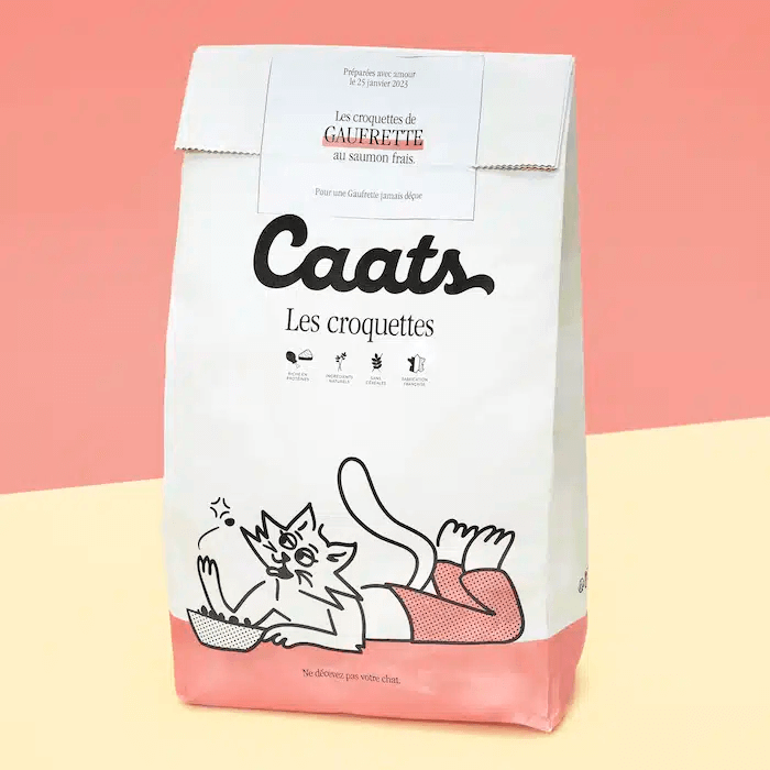 Caats Spéciale Chaton