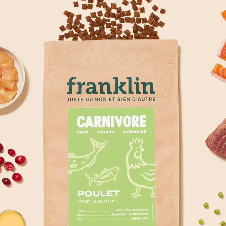 Croquettes Saumon, Courge, Camomille