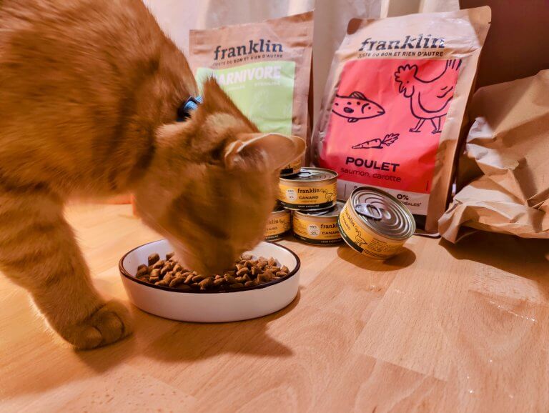 L'avis de Snoby sur les croquettes de Franklin : miam