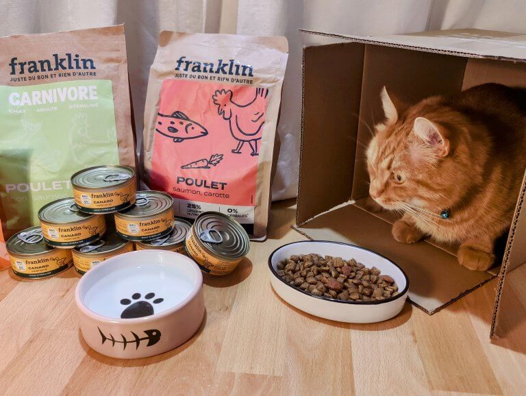 Snoby donne son avis sur les croquettes Franklin