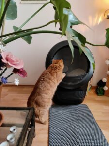 Litière automatique Litter Robot 4