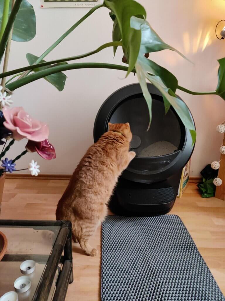 Litière automatique Litter Robot 4