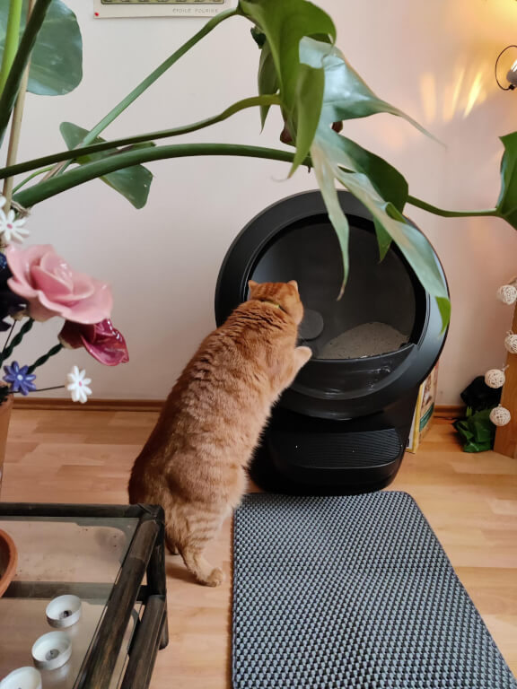 Litière automatique Litter Robot 4