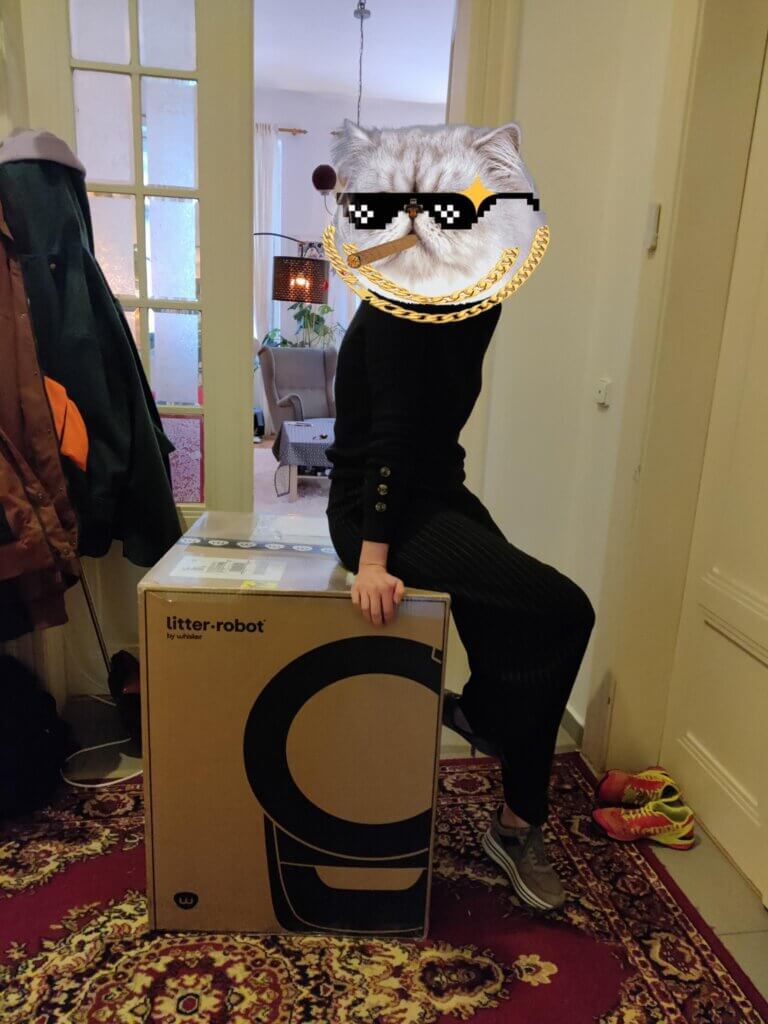 litière autonettoyante